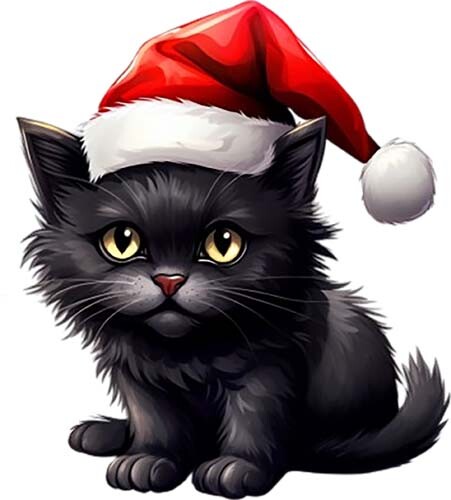 Colourful christmas black - colourful, cat