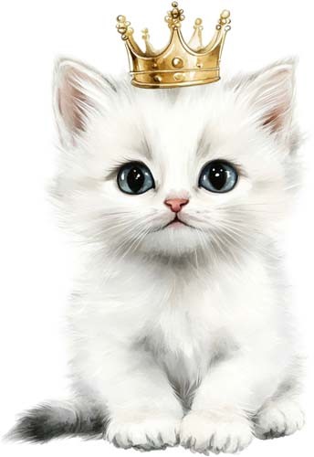 Watercolour kitten wall art - watercolour,