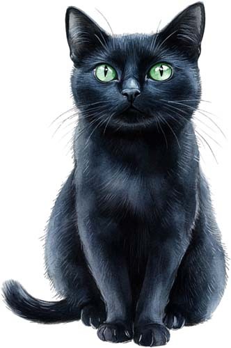 Watercolour kitten wall art - watercolour,