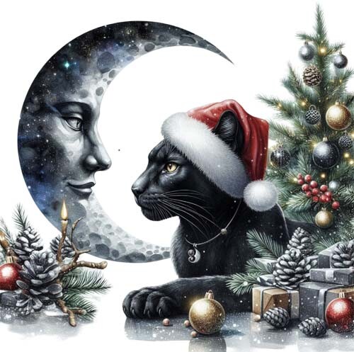 Christmas black panther wall - christmas,