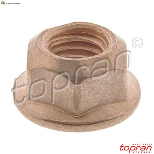Nut exhaust manifold 209 381