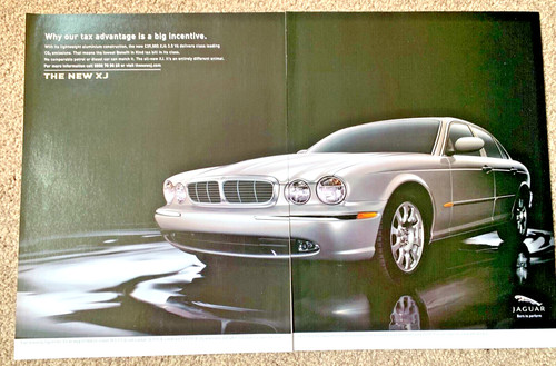 Jaguar frameable - 3.0,