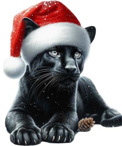 Colourful christmas black - colourful,